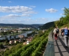 Zurück nach Klingenberg mit herrlichem Blick ins Maintal 